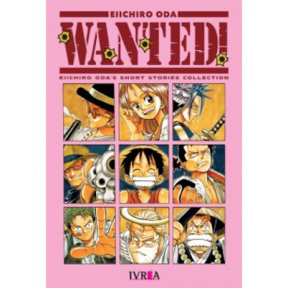 One Piece Wanted